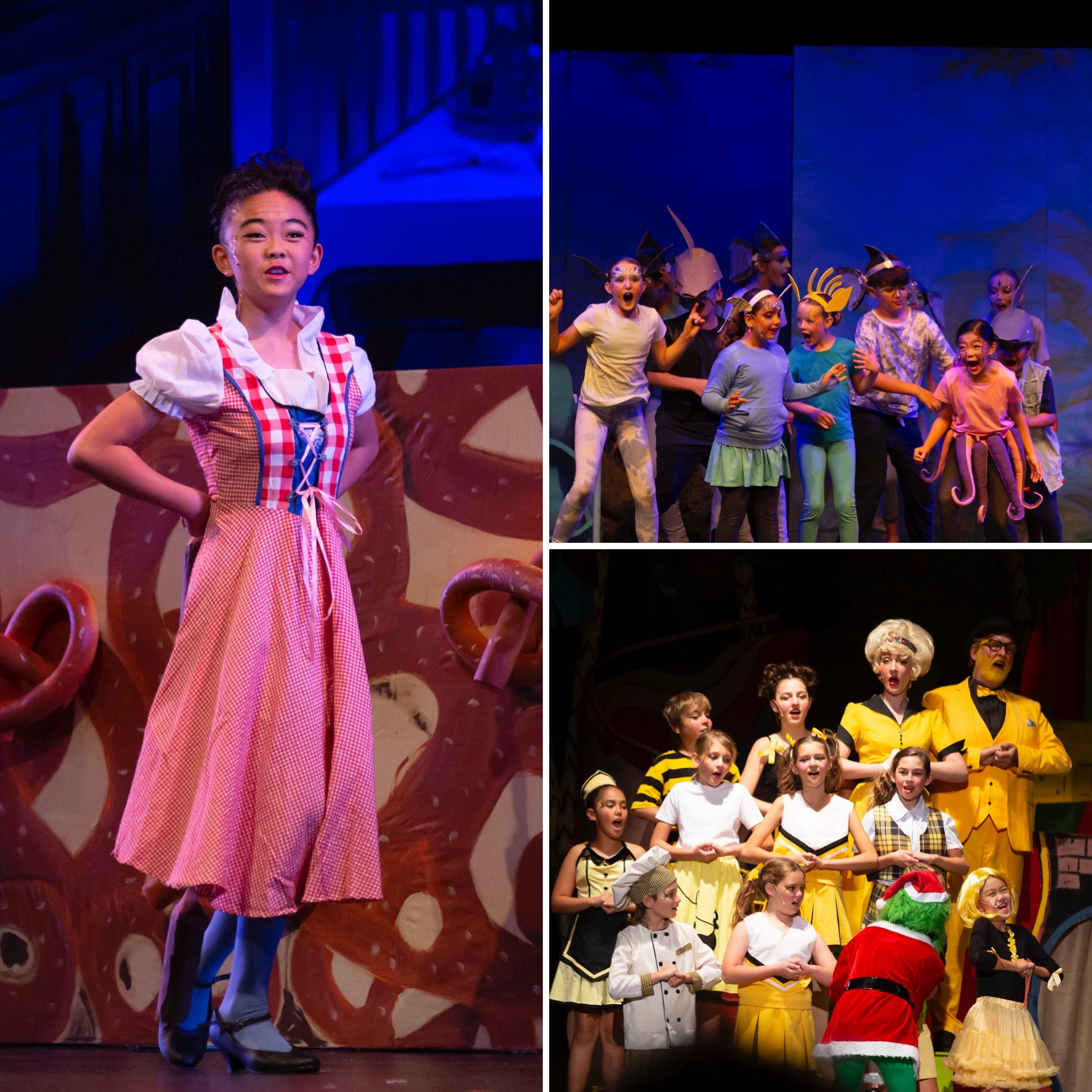 Hawaii Children's Theatre performances and activities